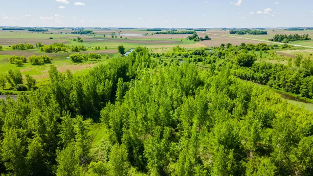 $499,999 | 22376 510th Avenue, Minnesota Lake, MN 56068