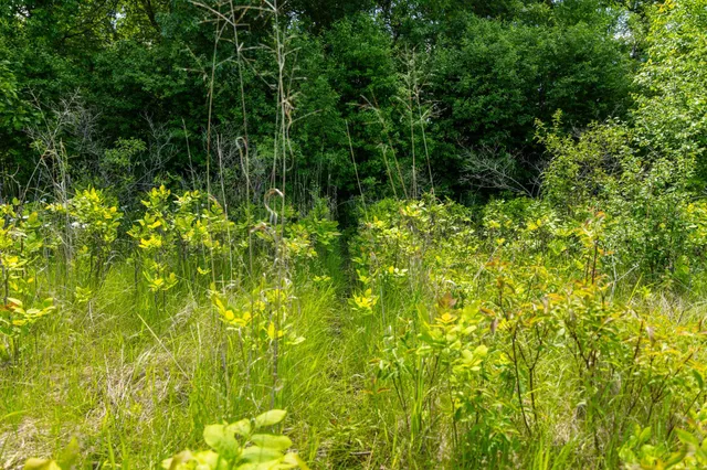 $499,999 | 22376 510th Avenue, Minnesota Lake, MN 56068