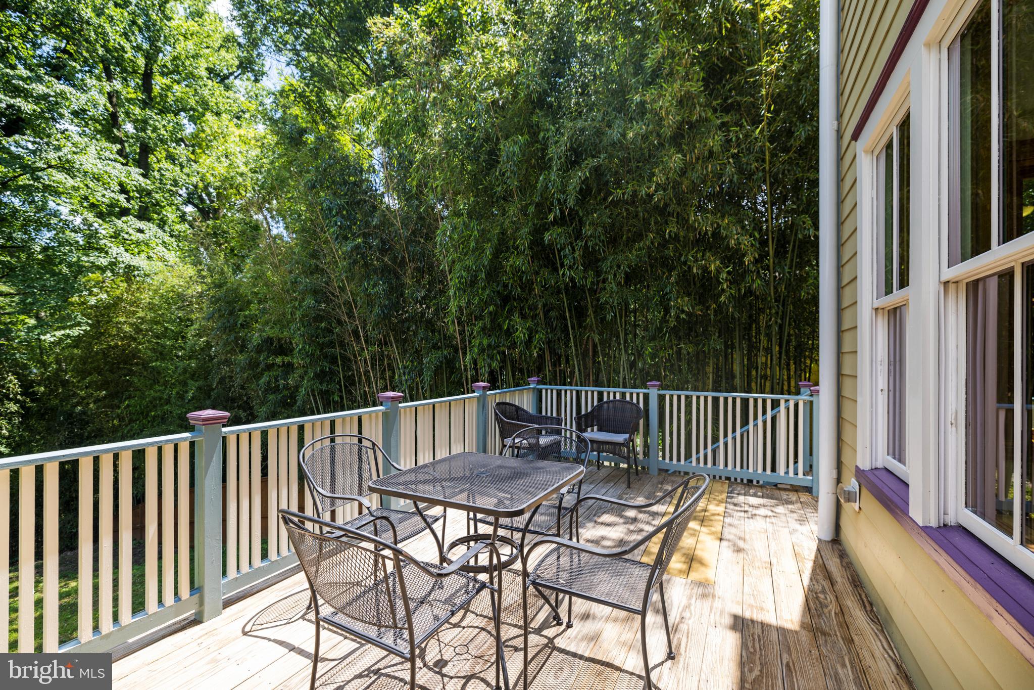 7311 Baltimore Avenue Takoma Park, MD 20912 - Photo 27 of 71 Deck Overlooking Yard