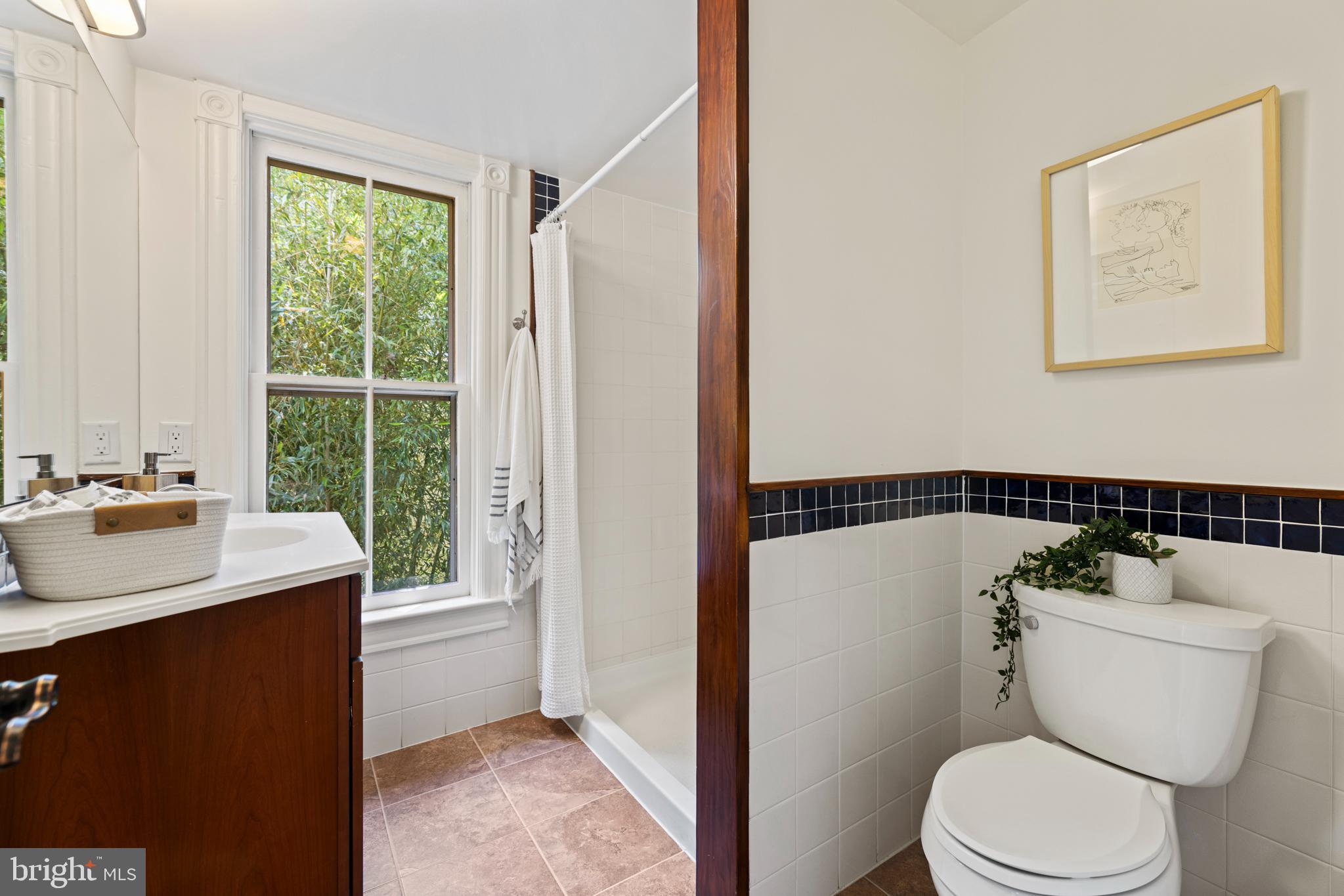 7311 Baltimore Avenue Takoma Park, MD 20912 - Photo 34 of 71 Primary Ensuite Bath