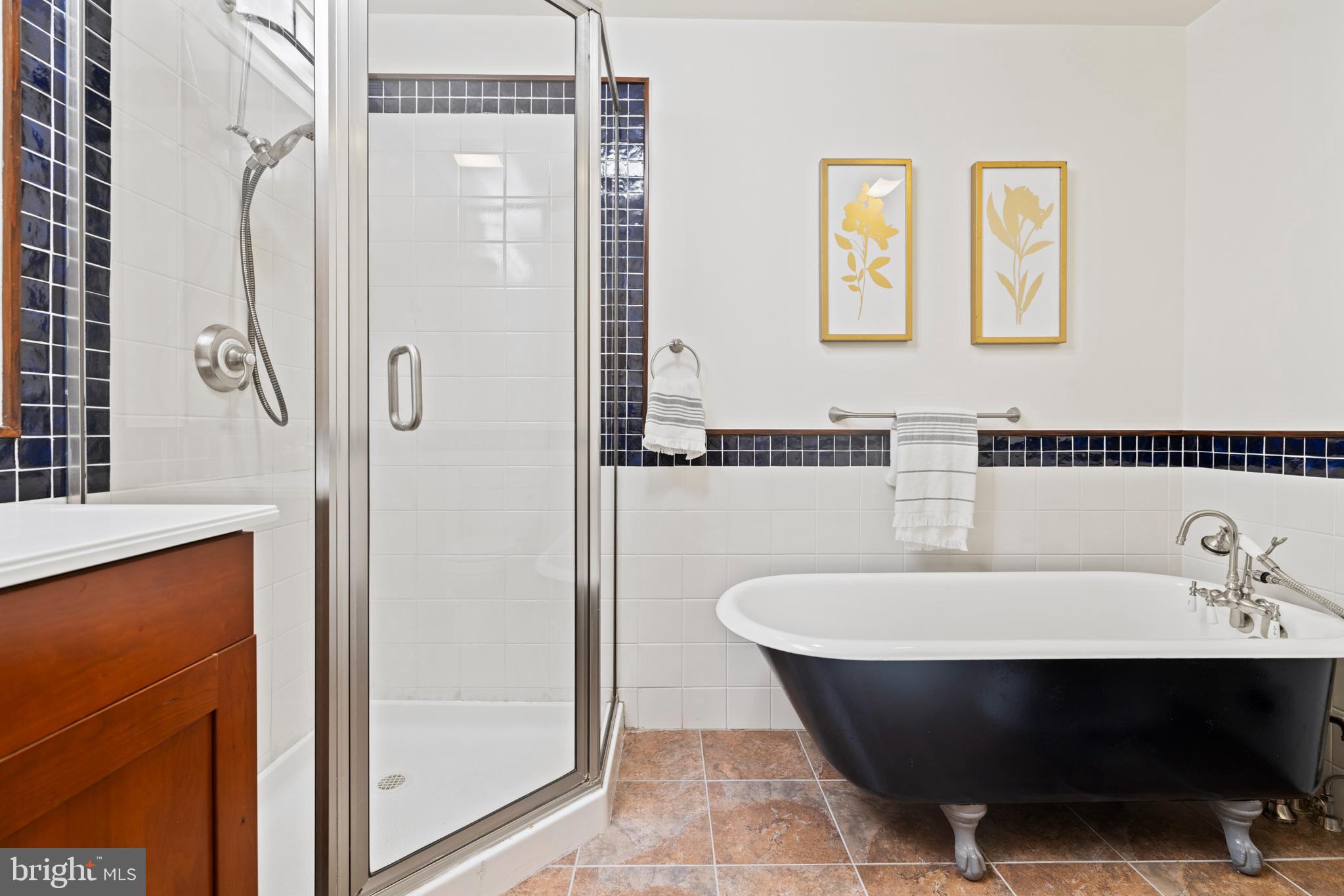 7311 Baltimore Avenue Takoma Park, MD 20912 - Photo 43 of 71 Hall Bath w/ Shower and Claw Foot Tub