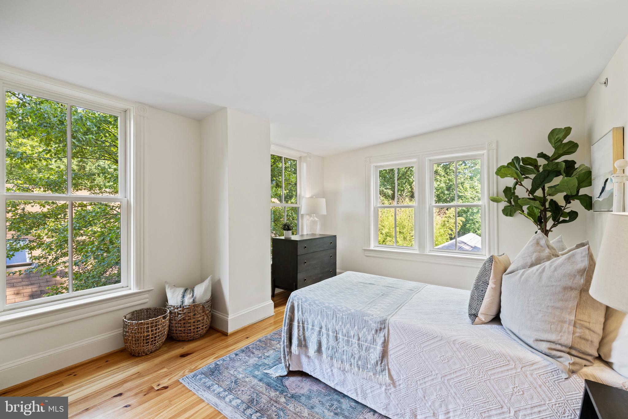 7311 Baltimore Avenue Takoma Park, MD 20912 - Photo 44 of 71 Bedroom #4