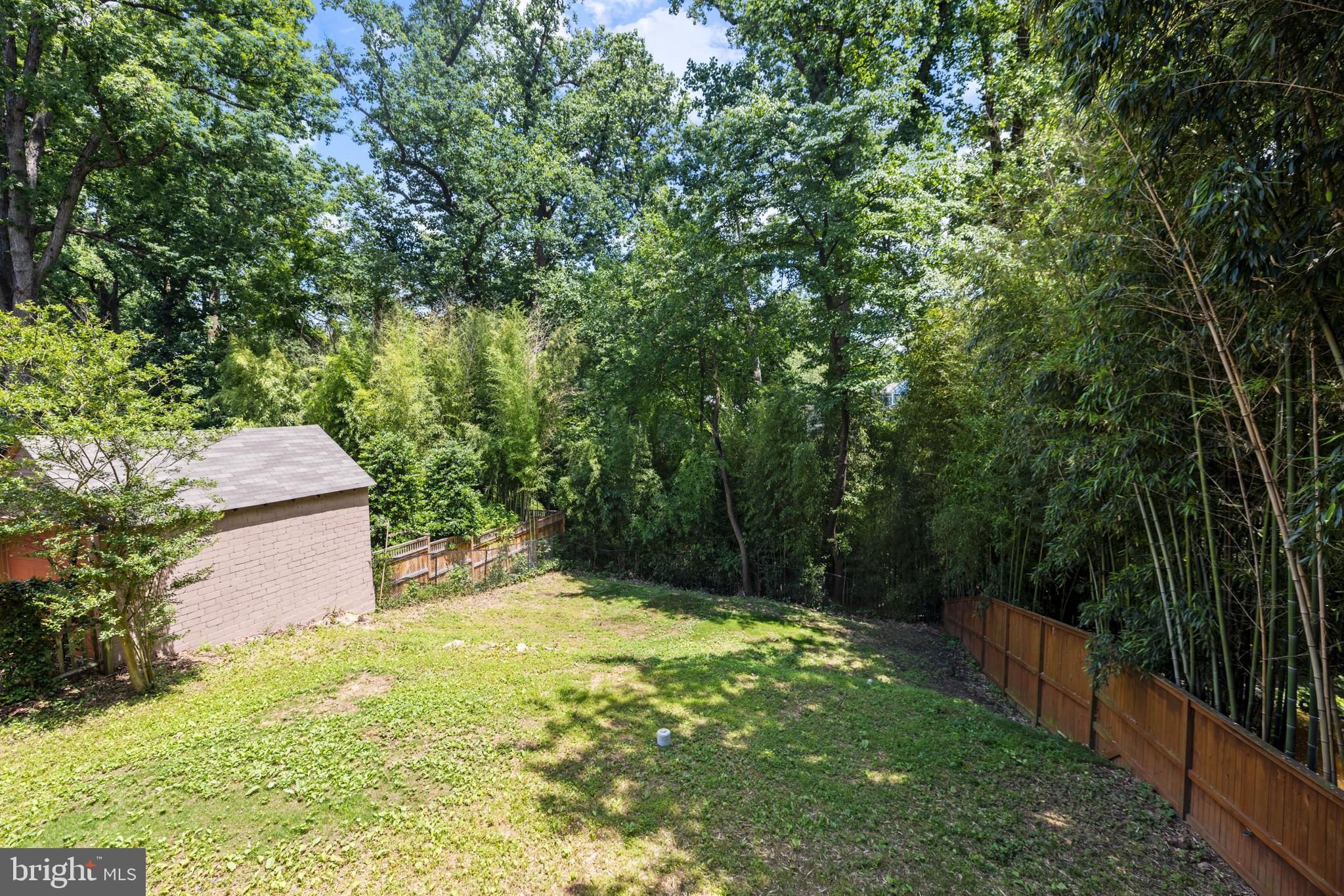 7311 Baltimore Avenue Takoma Park, MD 20912 - Photo 56 of 71 Rear Yard