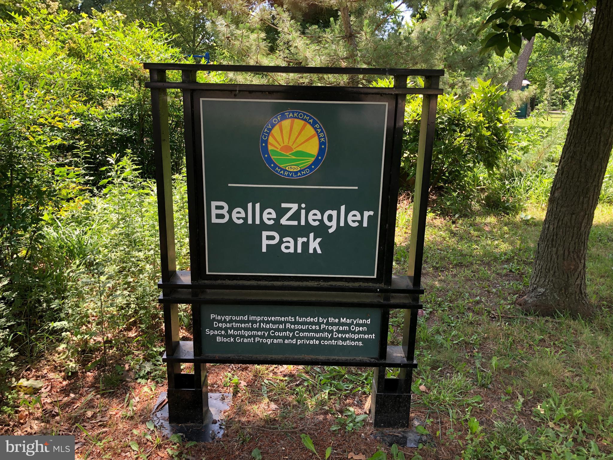 7311 Baltimore Avenue Takoma Park, MD 20912 - Photo 62 of 71 Wonderful Green Spaces