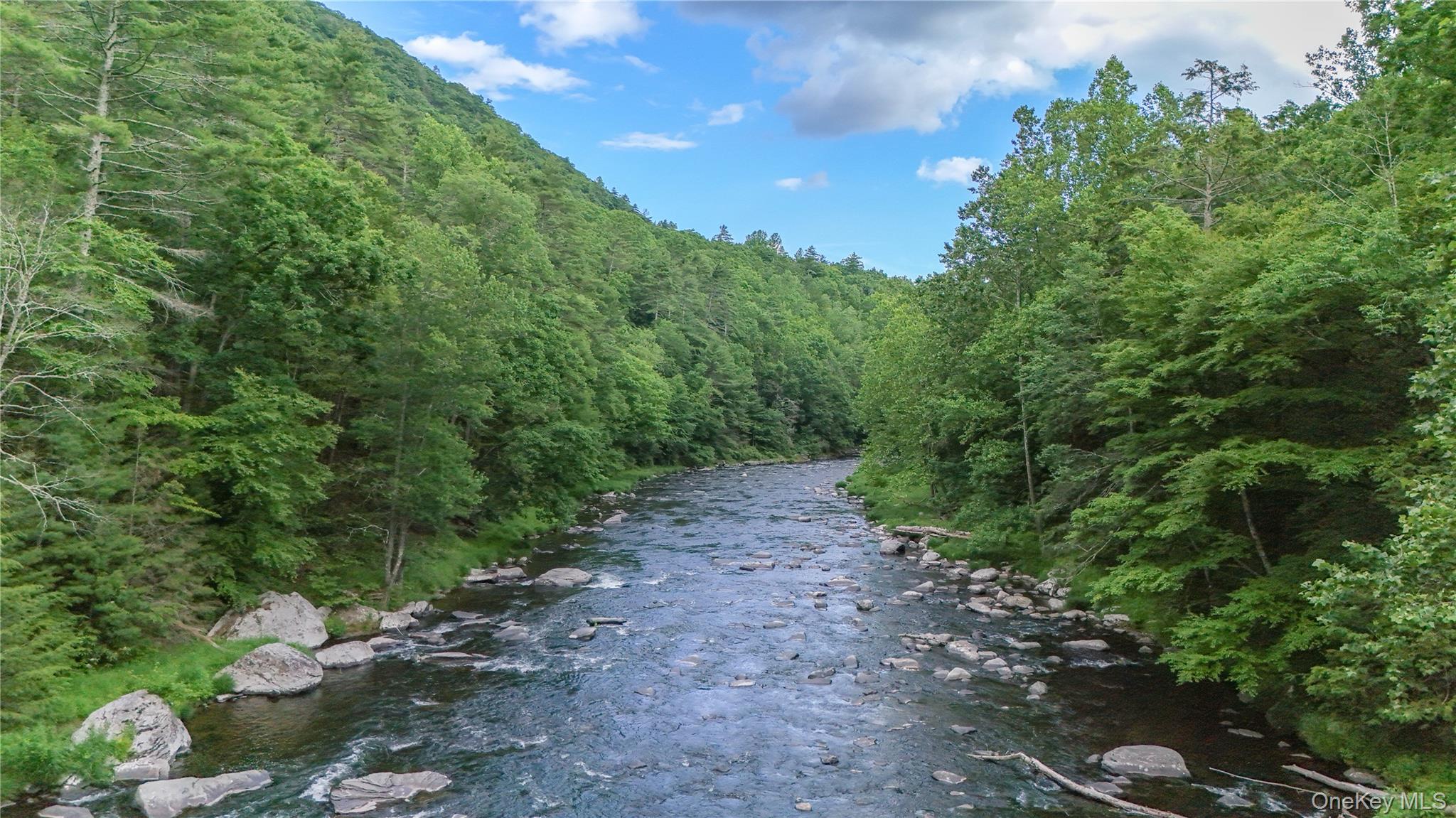 225 Hatchery Road Forestburgh, NY 12777 - Photo 33 of 37 Gallery Image 33