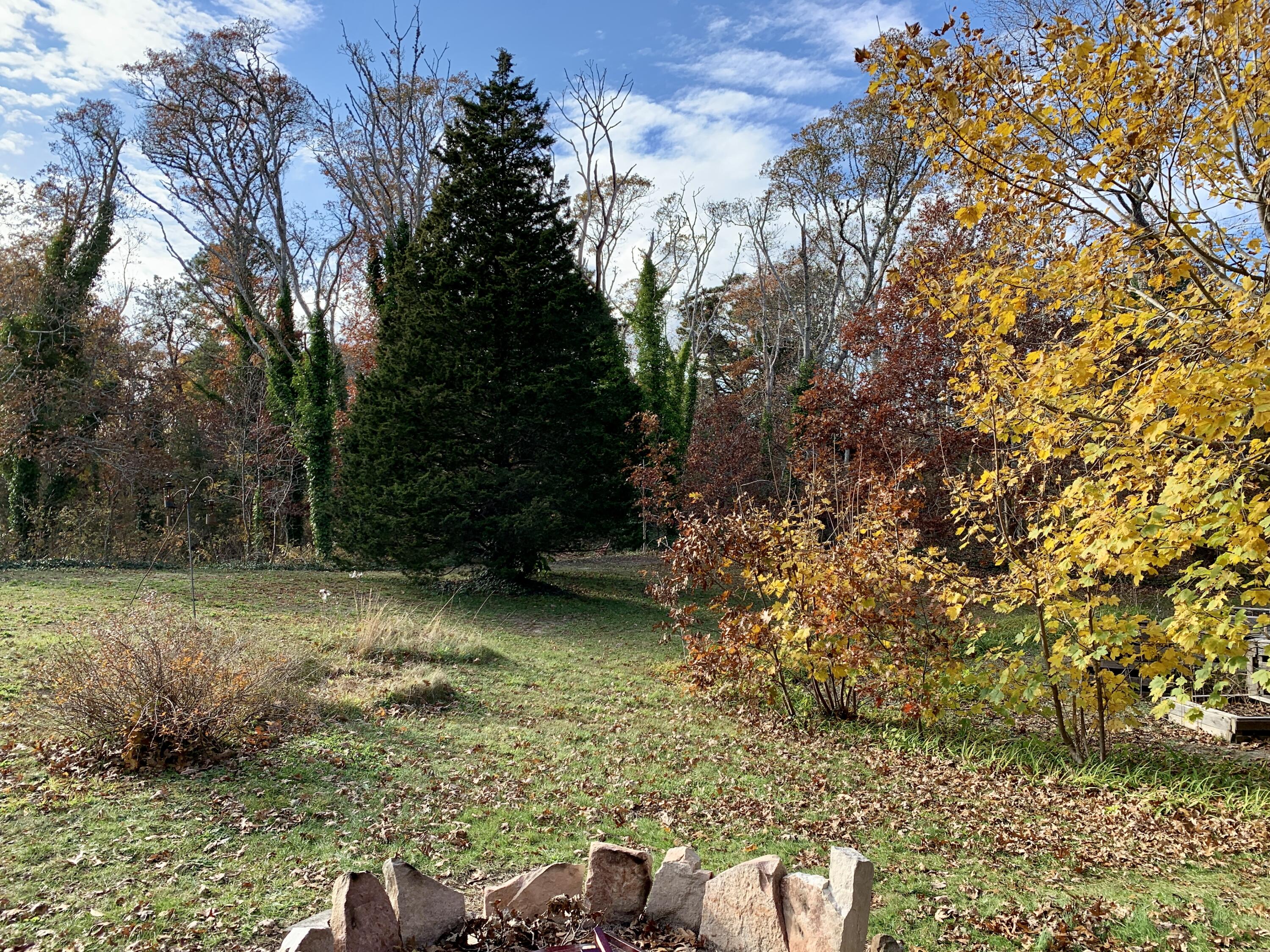 228 Sisson Road Harwich, MA 02645 - Photo 45 of 50 Fire Pit