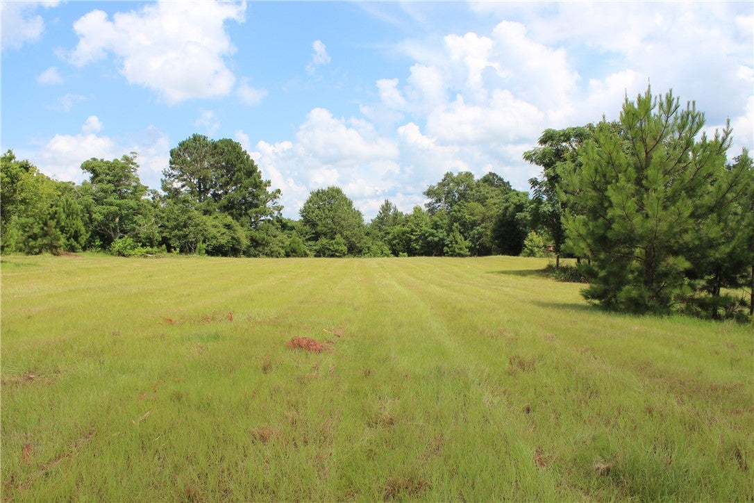 0 Brooks Road Phenix City, AL 36870 - Photo 3 of 14 Gallery Image 3