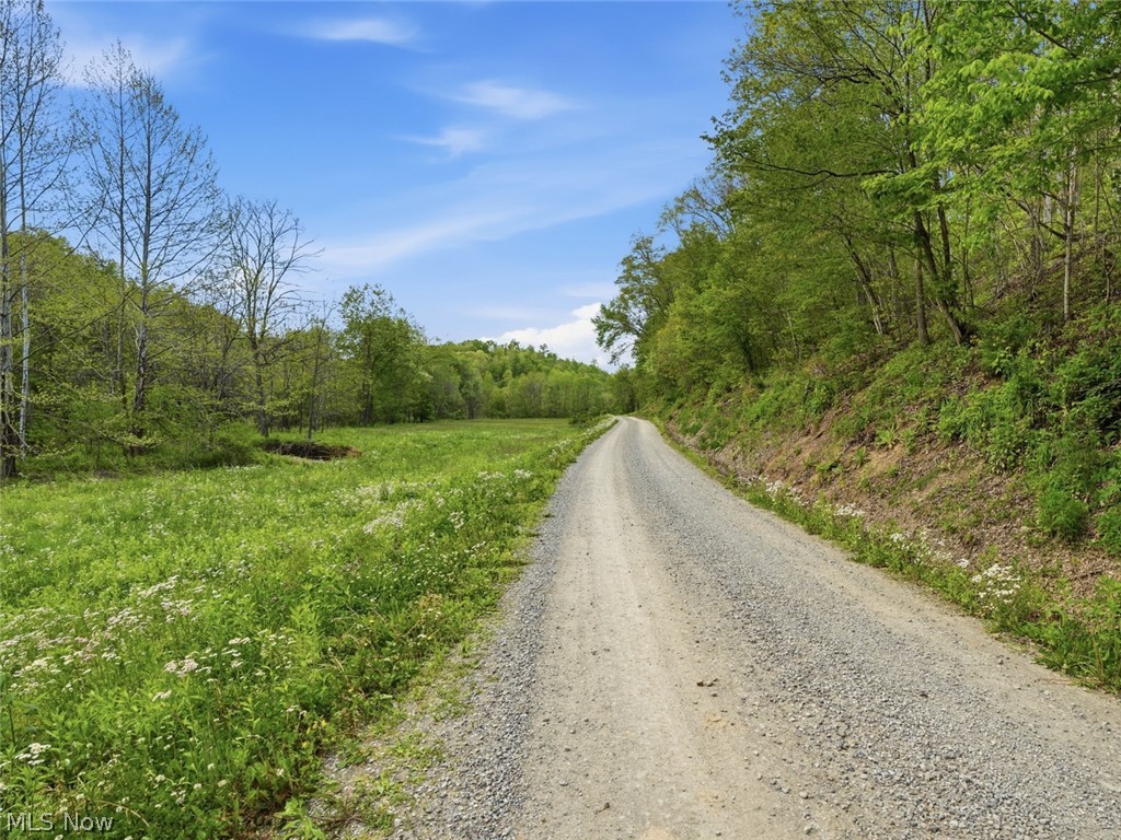 0 Pratts Run Road Woodsfield, OH 43793 - Photo 4 of 24