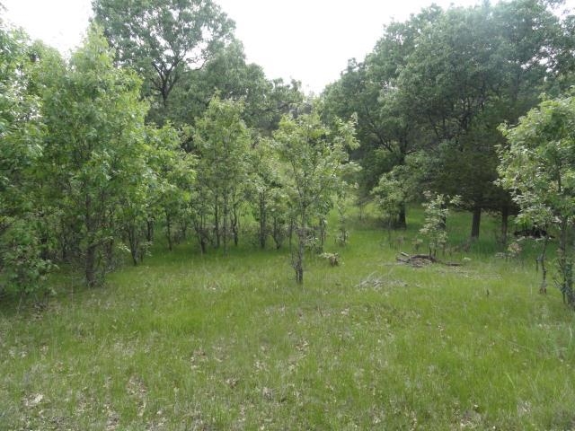 N8621 5th Road Westfield, WI 53964 - Photo 43 of 90