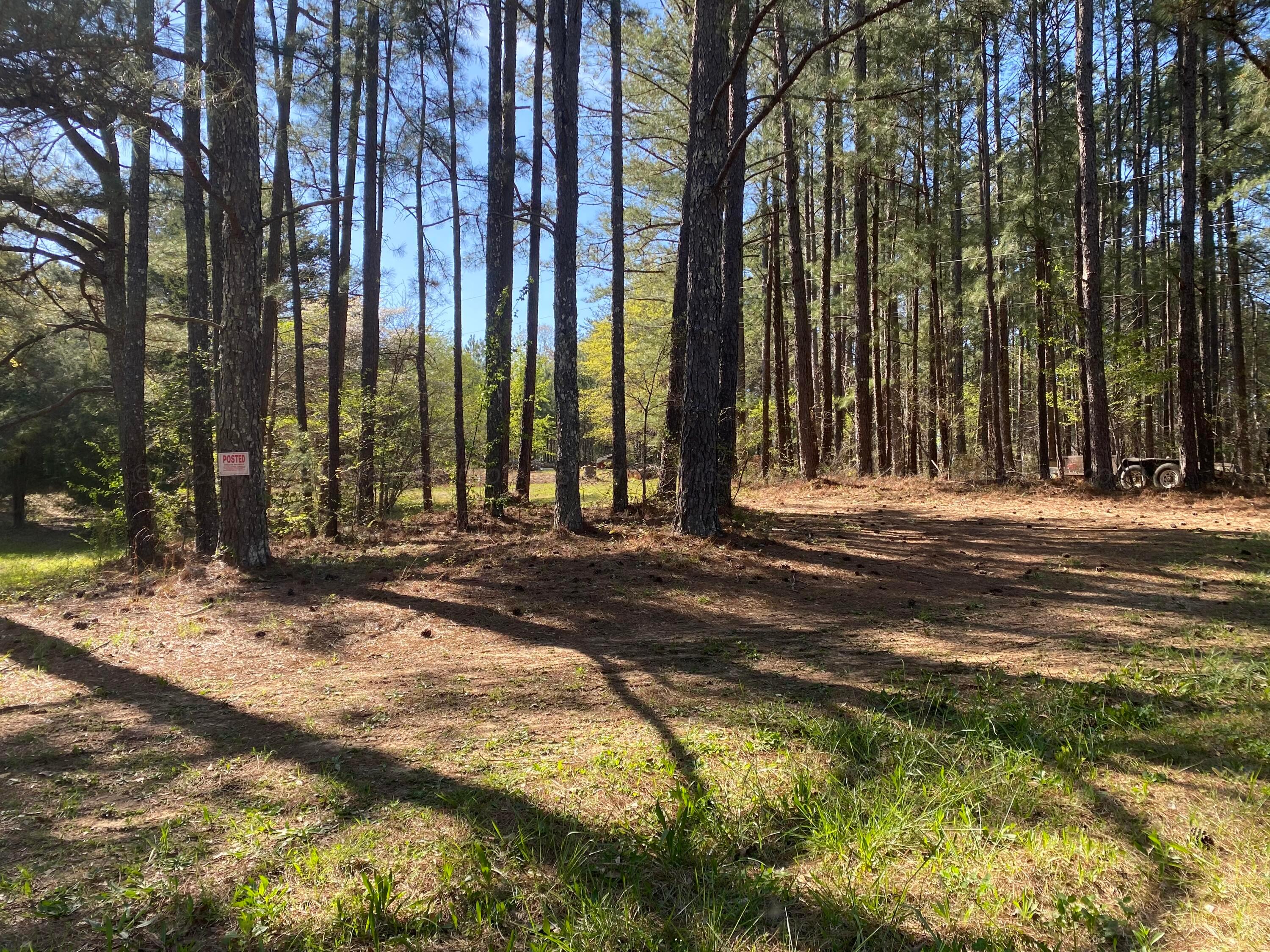 8380 River Road Warrior, AL 35180 - Photo 3 of 4 Gallery Image 3
