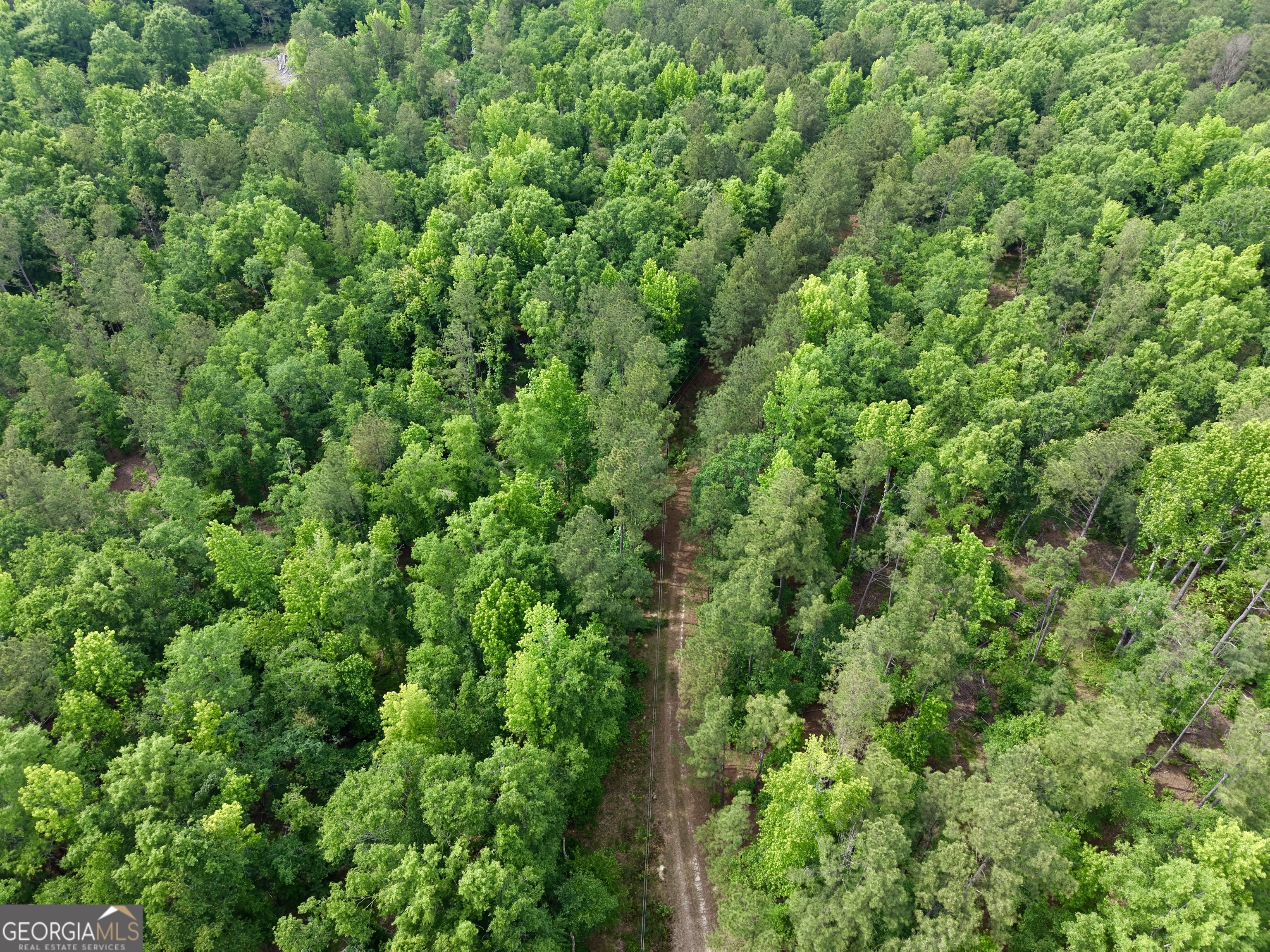 715 Fulsome Creek Road Sparta, GA 31087 - Photo 114 of 117