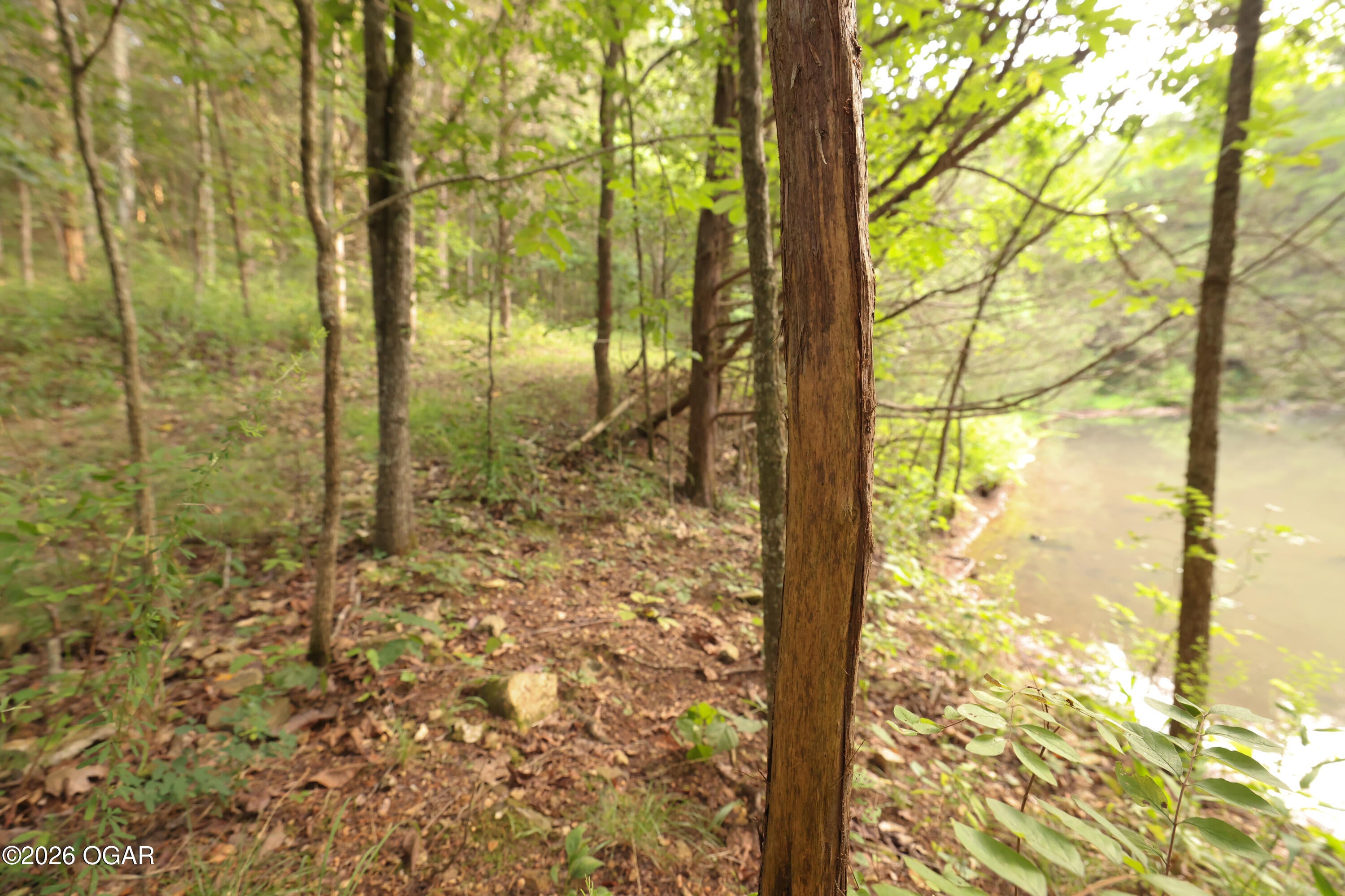 861 Tilden Road Galena, MO 65656 - Photo 33 of 67 Gallery Image 33