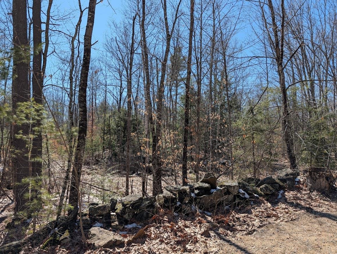M1-l16 Province Road Barnstead, NH 03218 - Photo 24 of 29