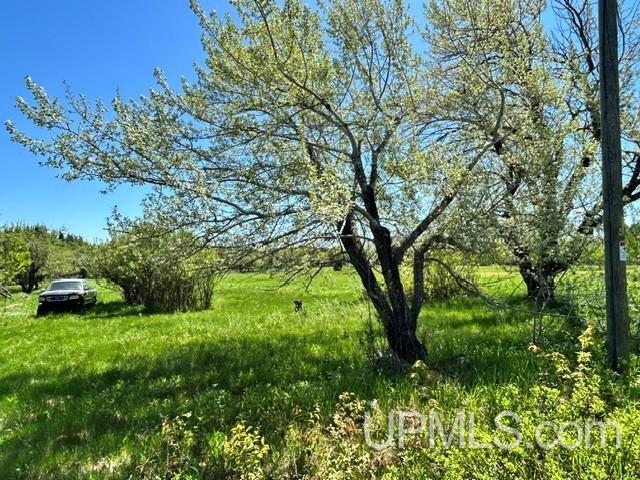 Tbd Tbd Bellaire Road Baraga, MI 49908 - Photo 47 of 49