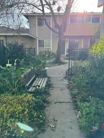 a view of backyard with a garden and plants