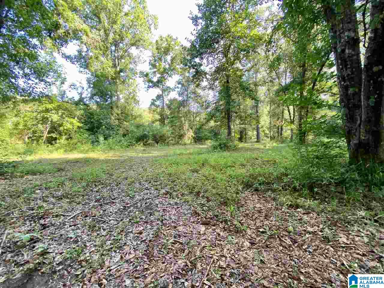 1 River Road, Unit 1 Quinton, AL 35130 - Photo 16 of 30