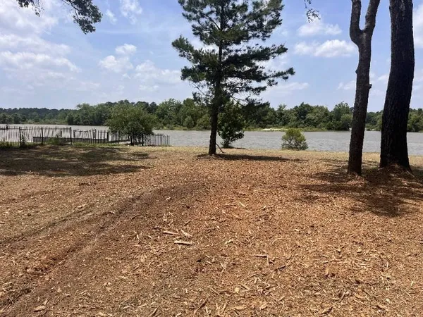 a view of lake with tree in the background