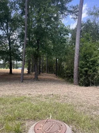 a view of outdoor space with trees