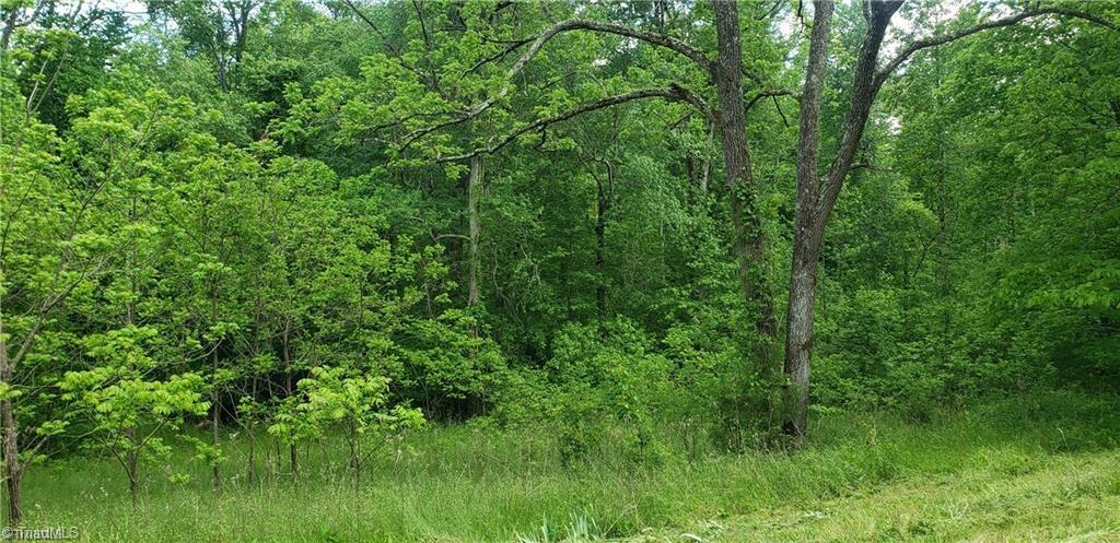180 Carters Ridge Road Advance, NC 27006 - Photo 2 of 5 Gallery Image 2