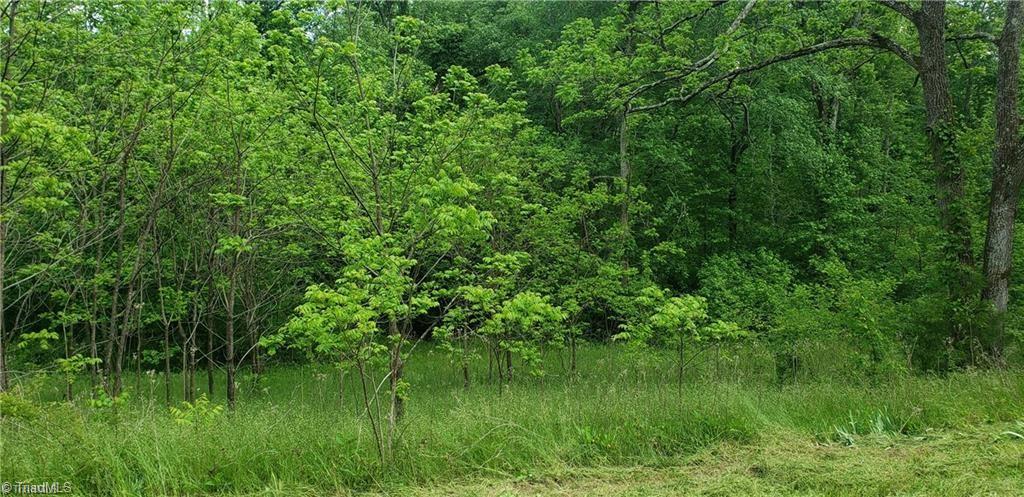 180 Carters Ridge Road Advance, NC 27006 - Photo 3 of 5 Gallery Image 3