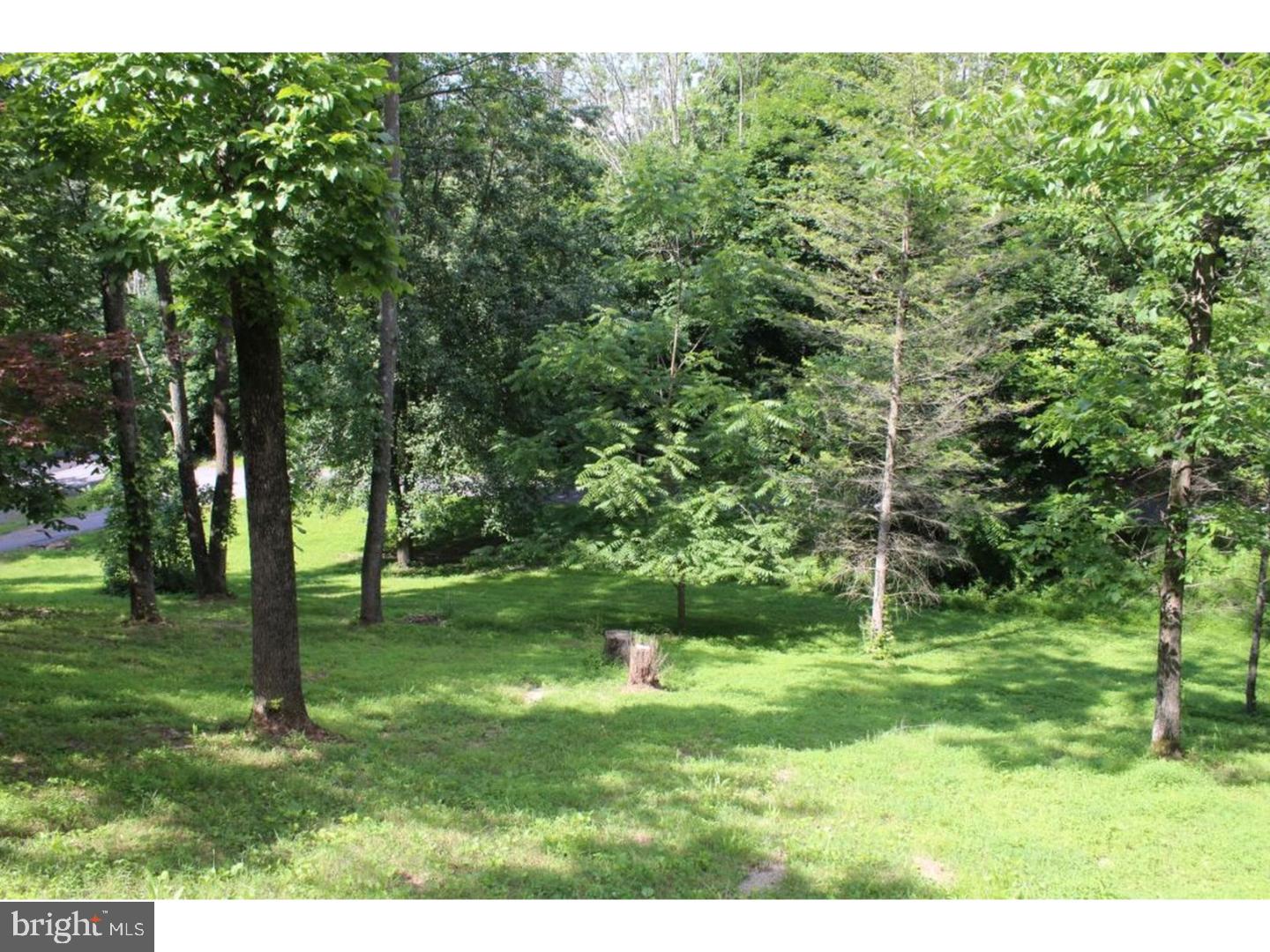 142 Bailey Road Kempton, PA 19529 - Photo 5 of 24 View from Front Door