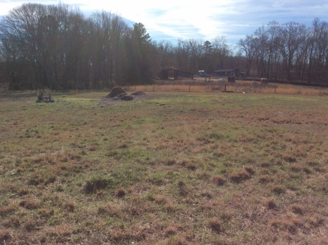 1103 Three And Twenty Road Easley, SC 29642 - Photo 7 of 15 Gallery Image 7