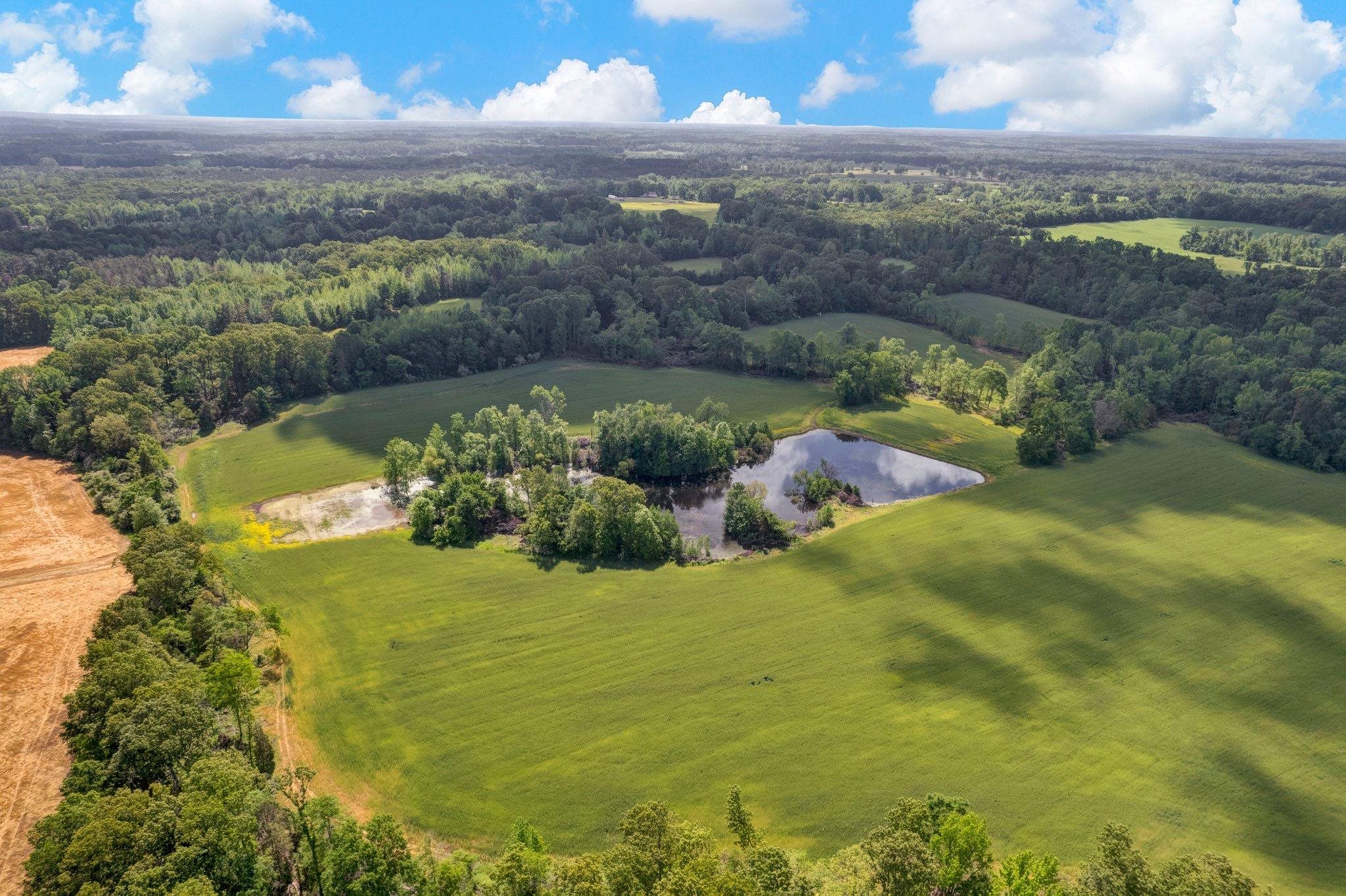 0 Bethlehem Road Moscow, TN 38057 - Photo 1 of 5 Gallery Image 1