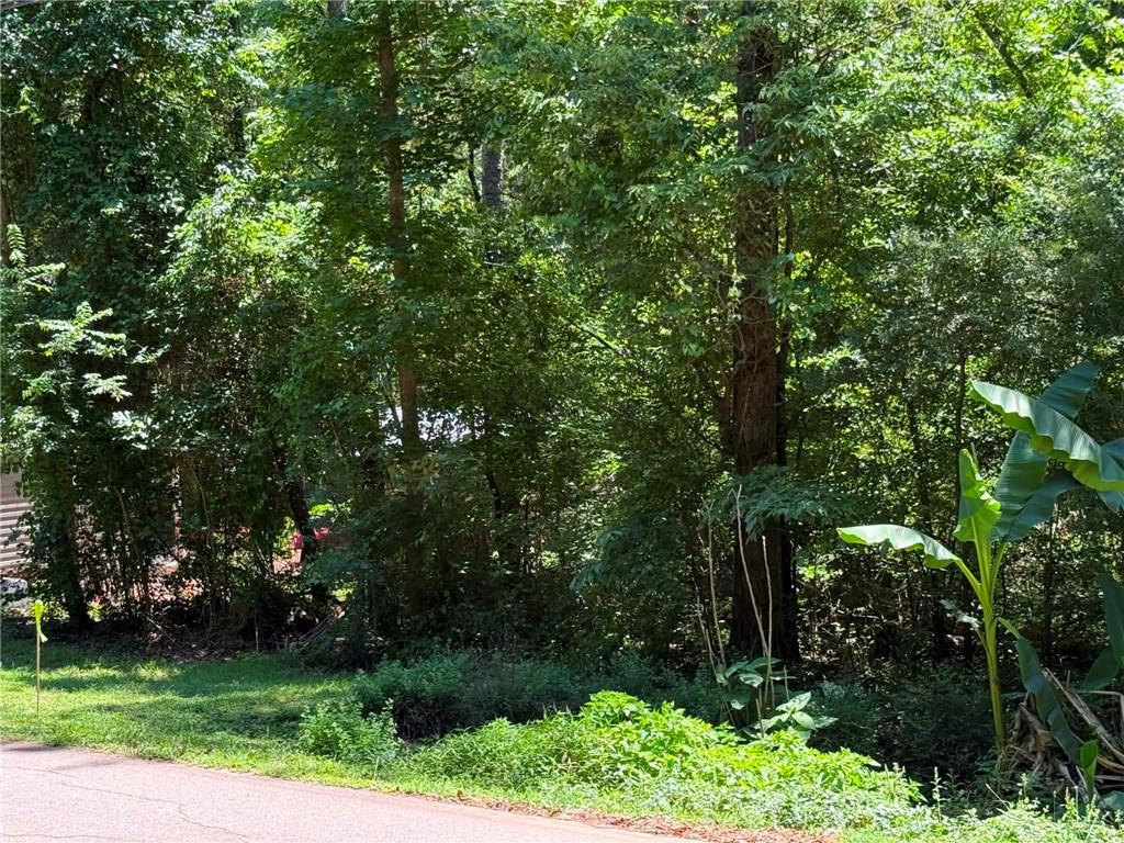0 Lakeshore Road Martin, GA 30557 - Photo 3 of 11