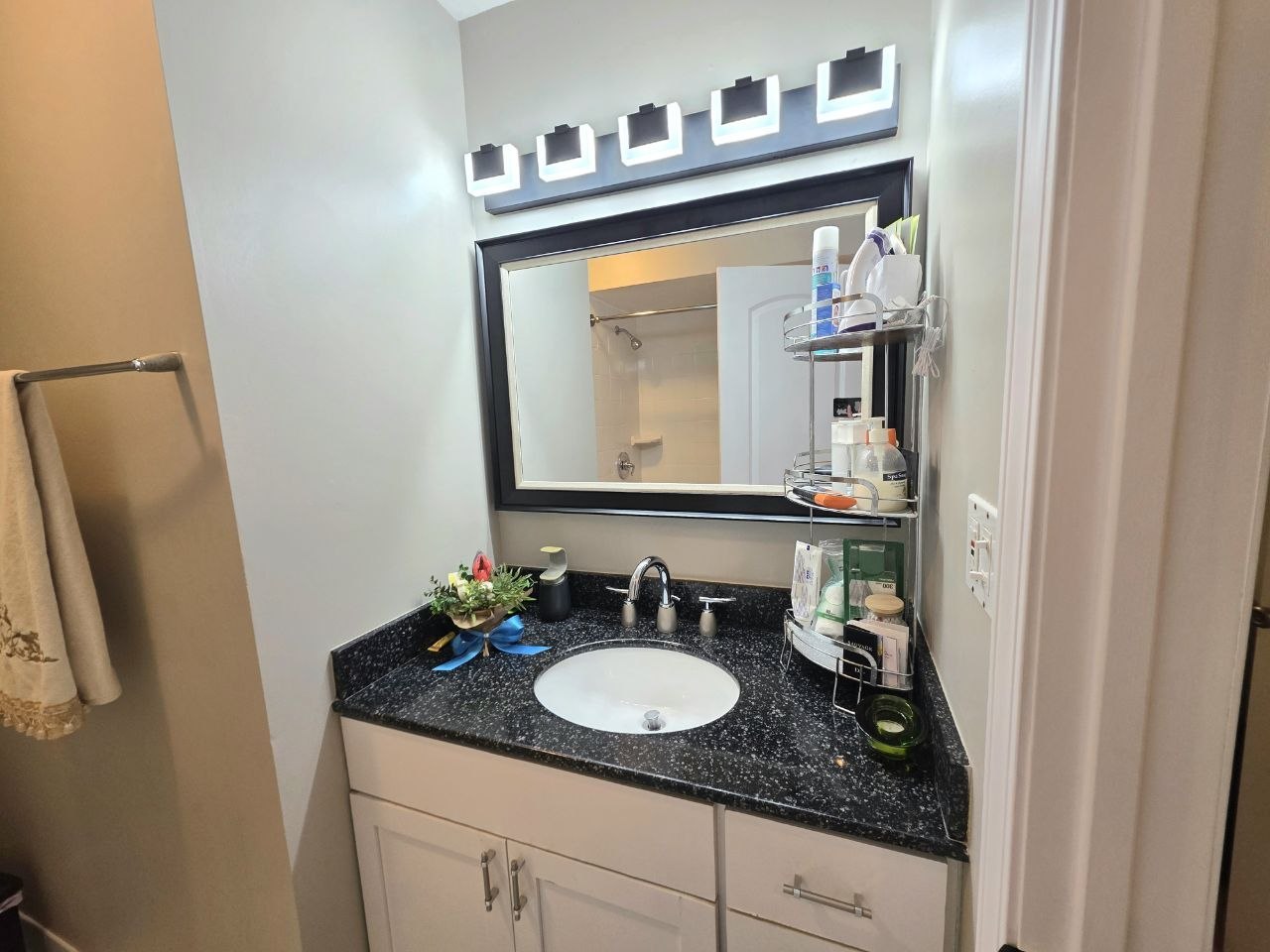 5139 North East River Road, Unit 162F Chicago, IL 60656 - Photo 13 of 19