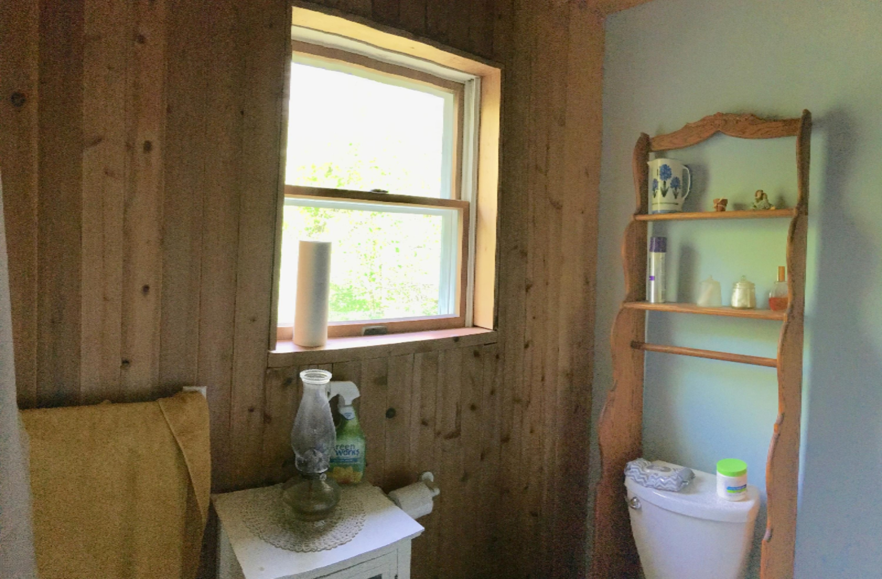7433 South Morse Road Branch, MI 49402 - Photo 23 of 59 IMG_6964