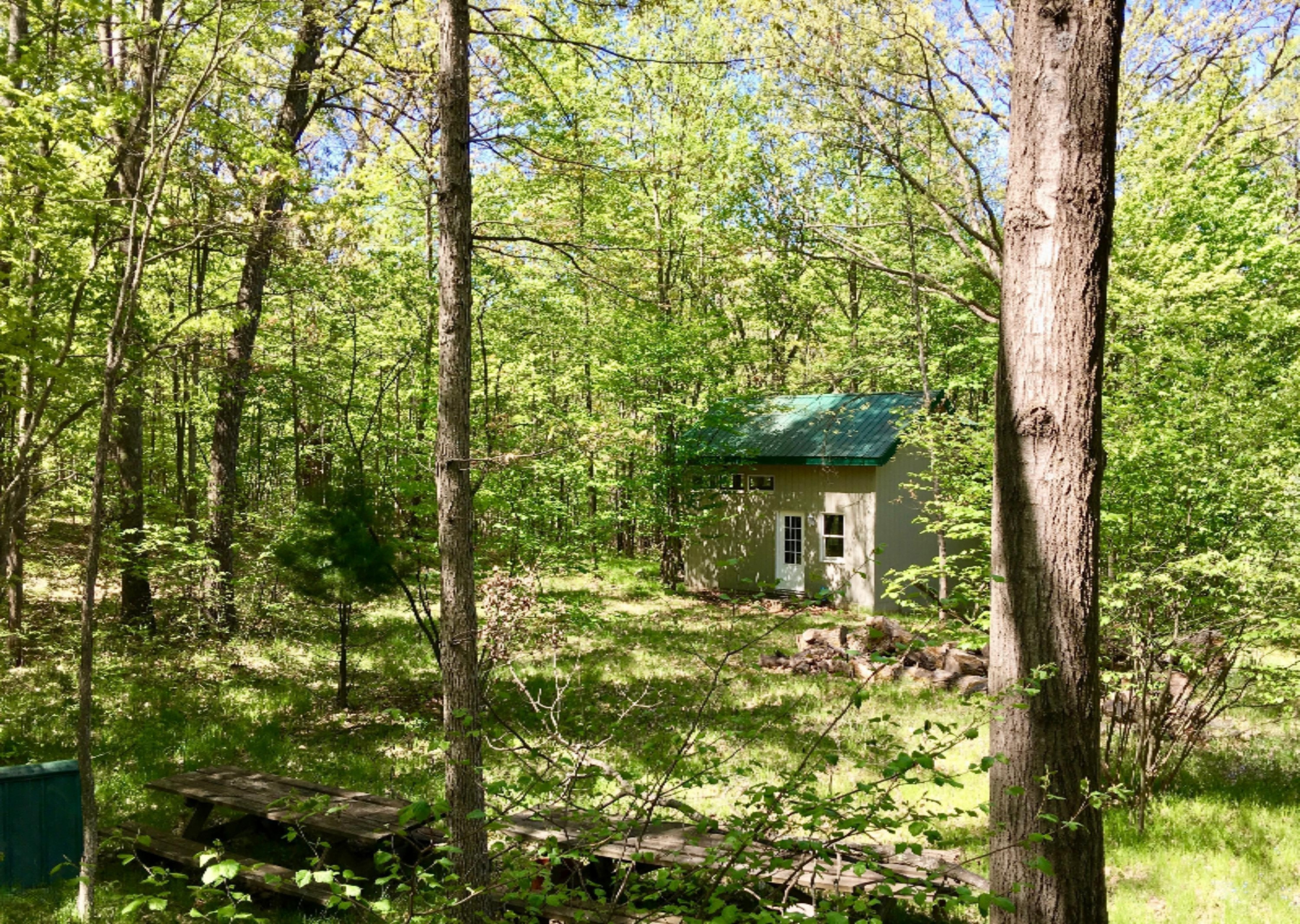 7433 South Morse Road Branch, MI 49402 - Photo 41 of 59 IMG_6987