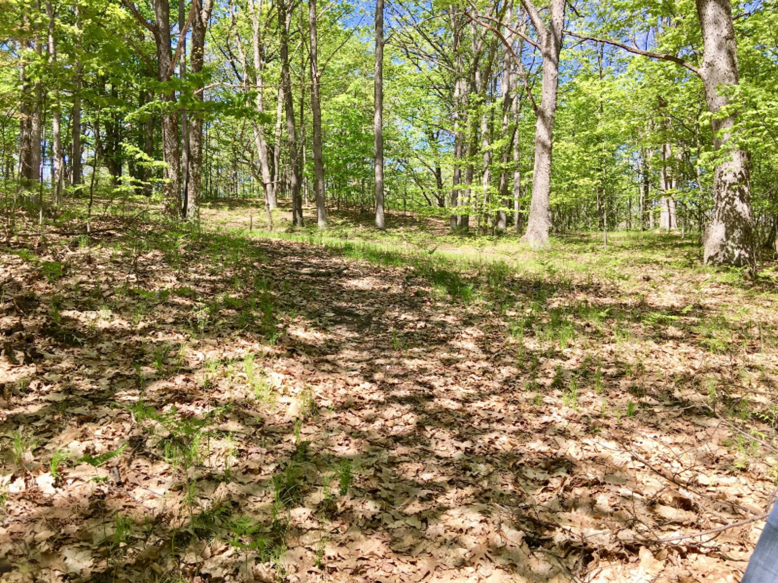 7433 South Morse Road Branch, MI 49402 - Photo 57 of 59 IMG_7011