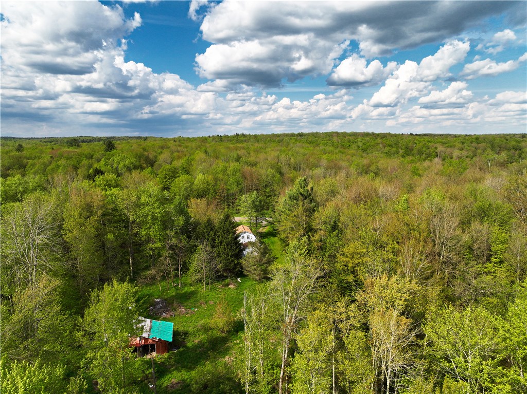 2886 State Highway McDonough, NY 13801 - Photo 21 of 27