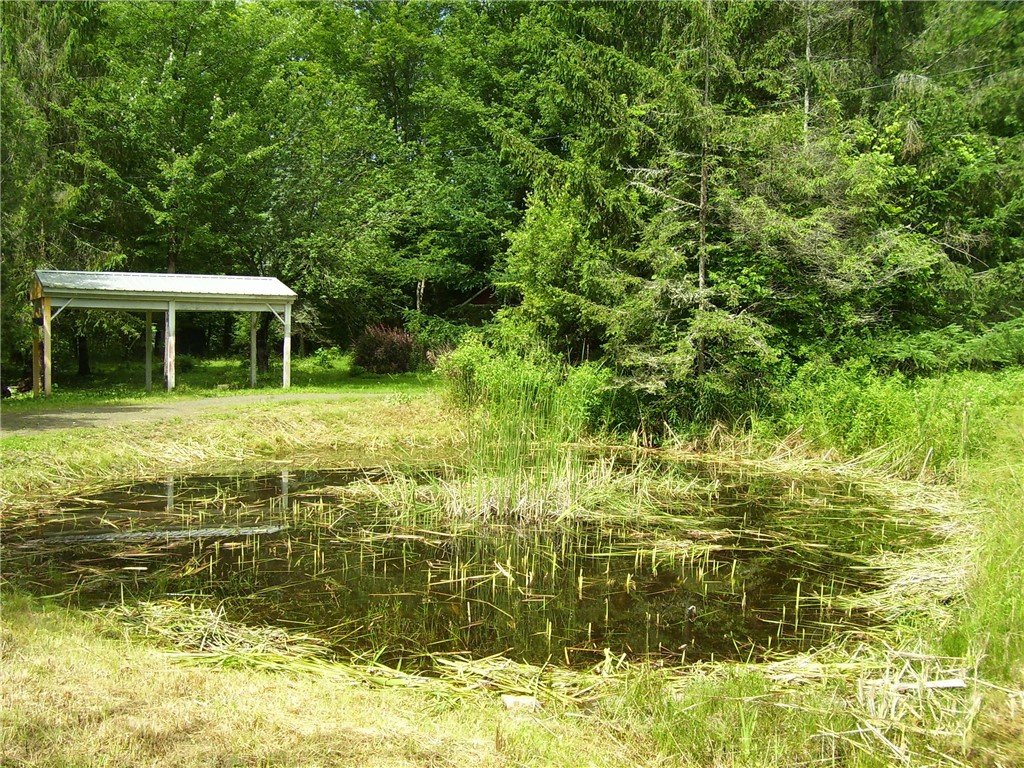 2886 State Highway McDonough, NY 13801 - Photo 24 of 27