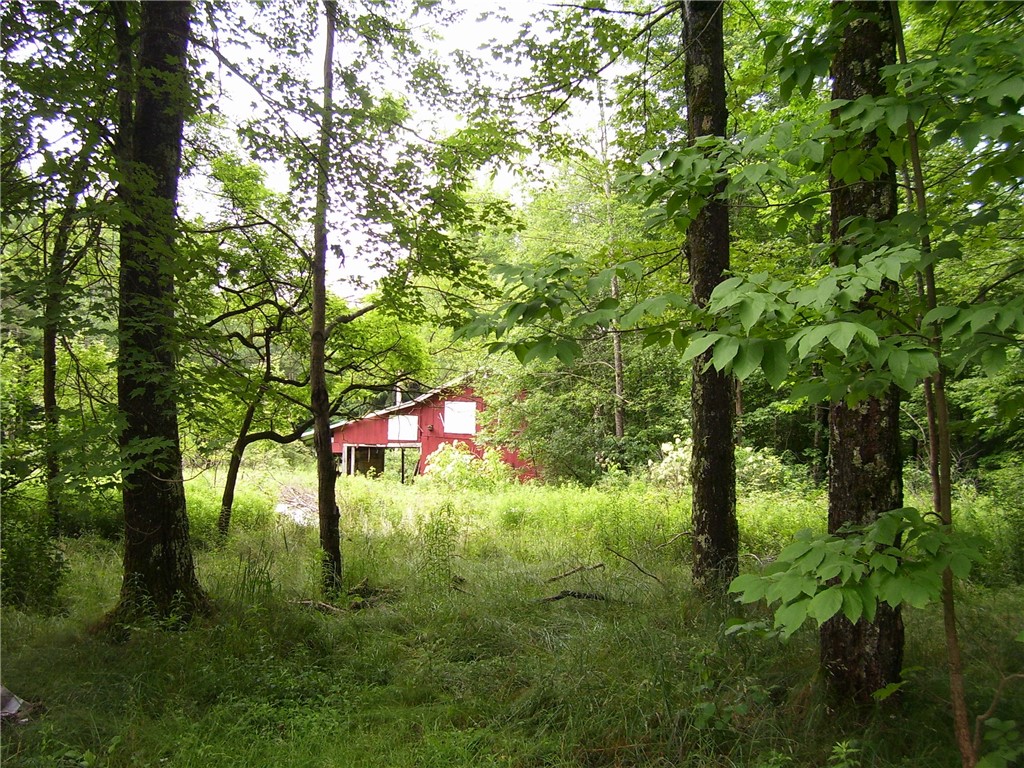 2886 State Highway McDonough, NY 13801 - Photo 27 of 27