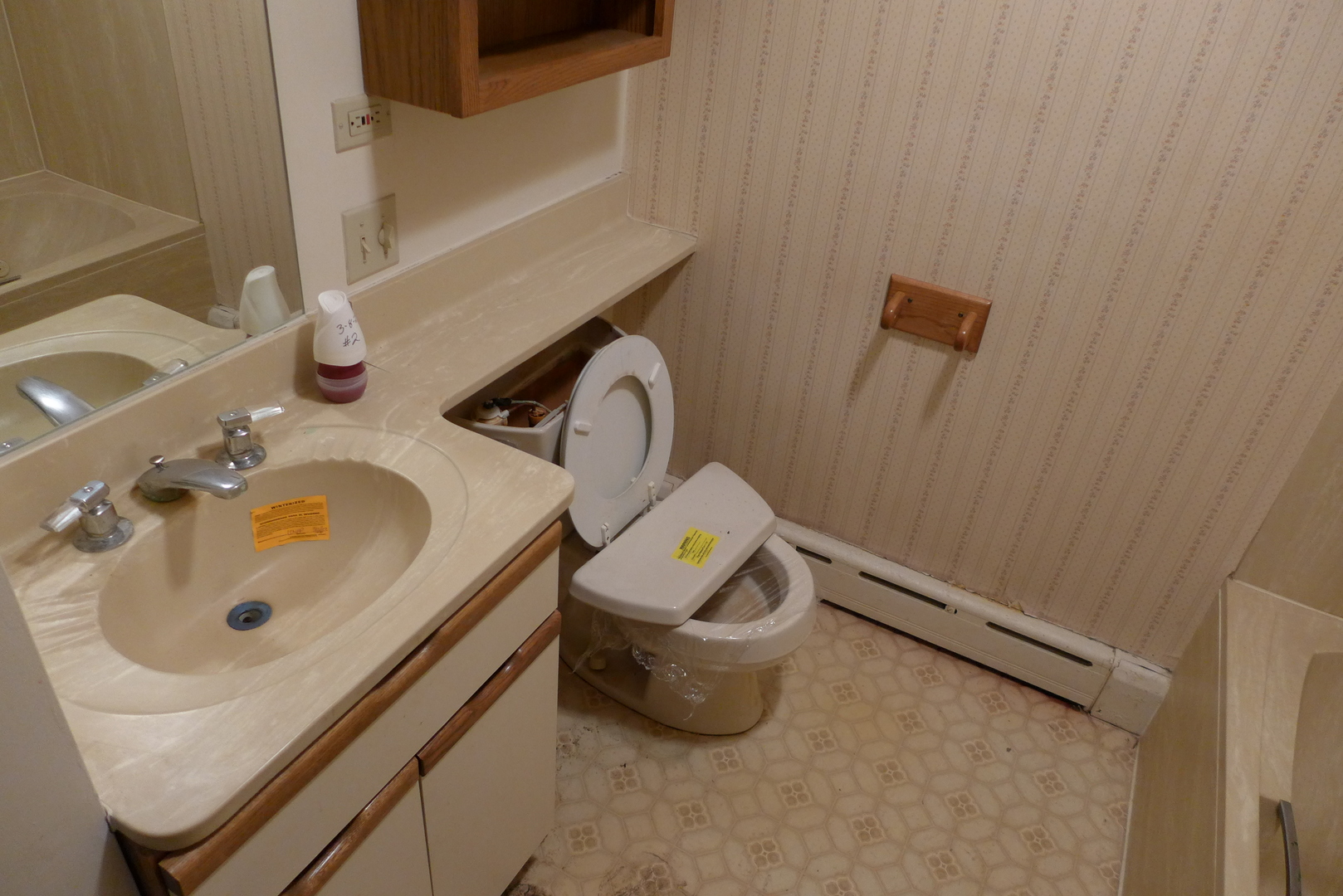 202 Elm Street Prospect Heights, IL 60070 - Photo 17 of 26 a bathroom with a sink and a mirror