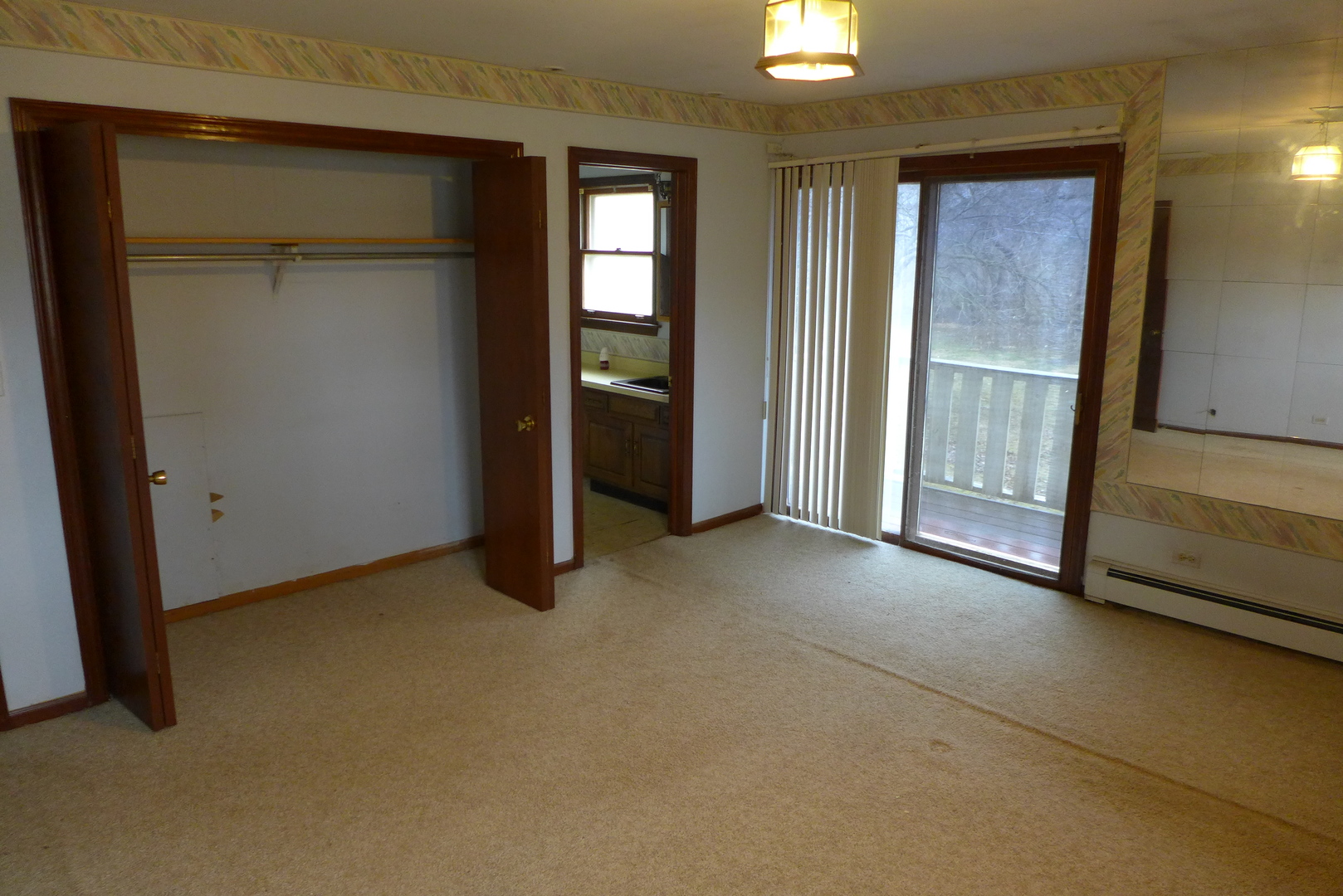 202 Elm Street Prospect Heights, IL 60070 - Photo 24 of 26 an empty room with windows and closet