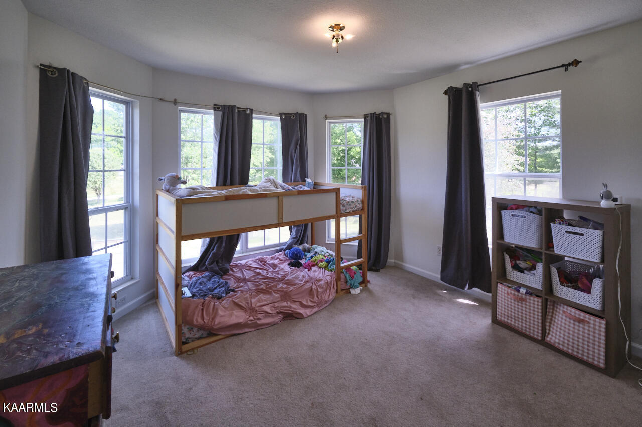 235 Raccoon Valley Road Maynardville, TN 37807 - Photo 23 of 48 235 Raccoon Valley Rd 50