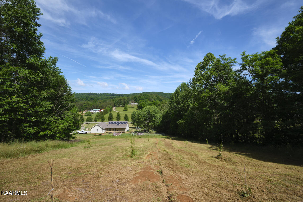 235 Raccoon Valley Road Maynardville, TN 37807 - Photo 32 of 48 235 Raccoon Valley Rd 29