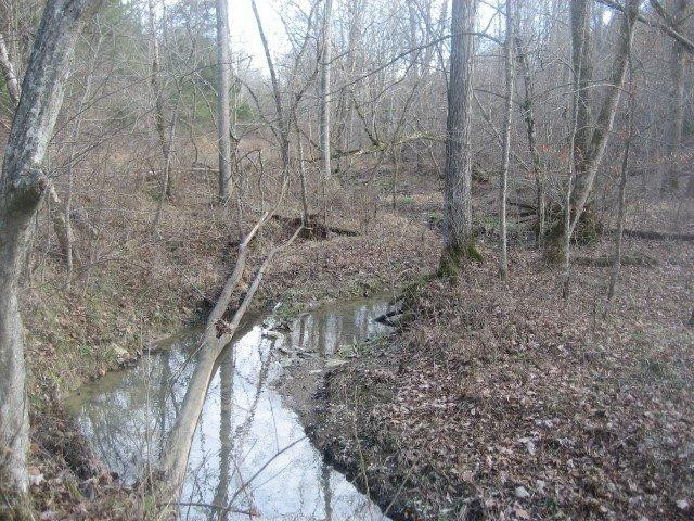 1370 Mays Road Lawrenceburg, KY 40342 - Photo 22 of 24 Photo 22
