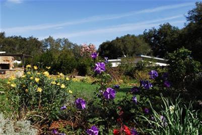 2281 Los Encinos Road Ojai, CA 93023 - Photo 9 of 10 Gallery Image 9