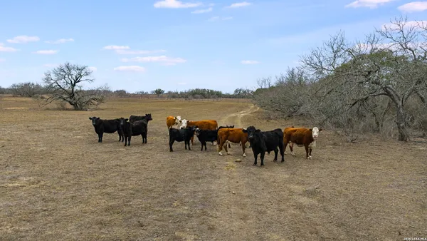 $290,000 | 0 County Road 454, Stockdale, TX 78160