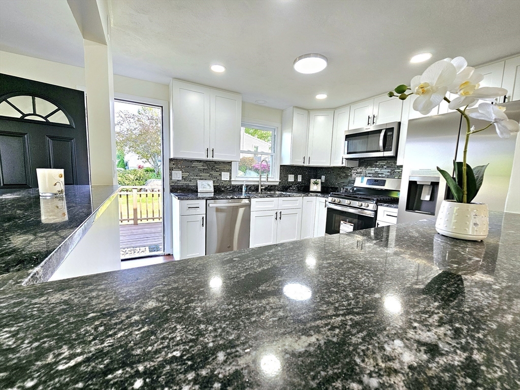 6 Neel Road Worcester, MA 01605 - Photo 4 of 42 Gallery Image 4