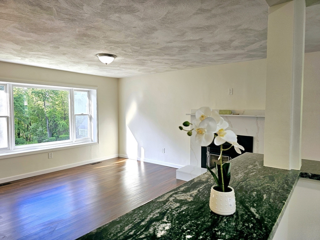 6 Neel Road Worcester, MA 01605 - Photo 9 of 42 Gallery Image 9