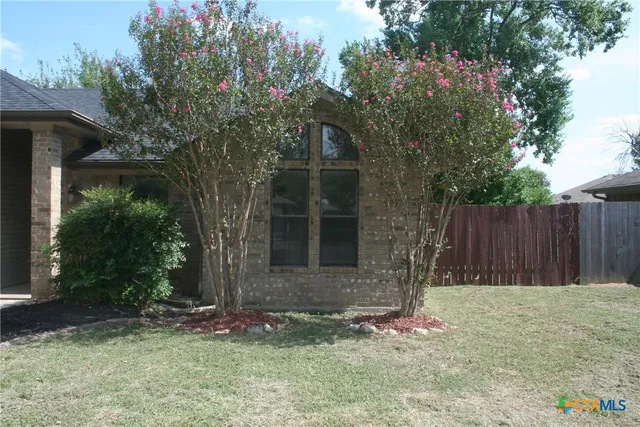 a backyard of a house with plants and trees