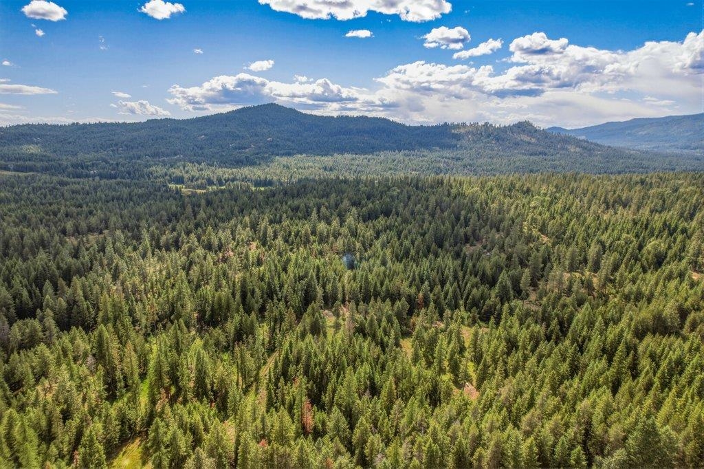 1301 Veit Road Newport, WA 99156 - Photo 30 of 33