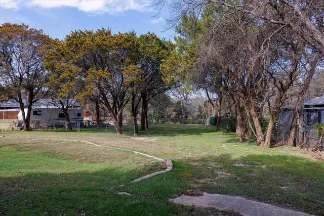 a view of a trees in a yard