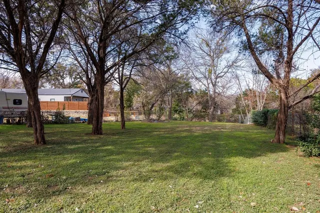 a view of a trees in a yard