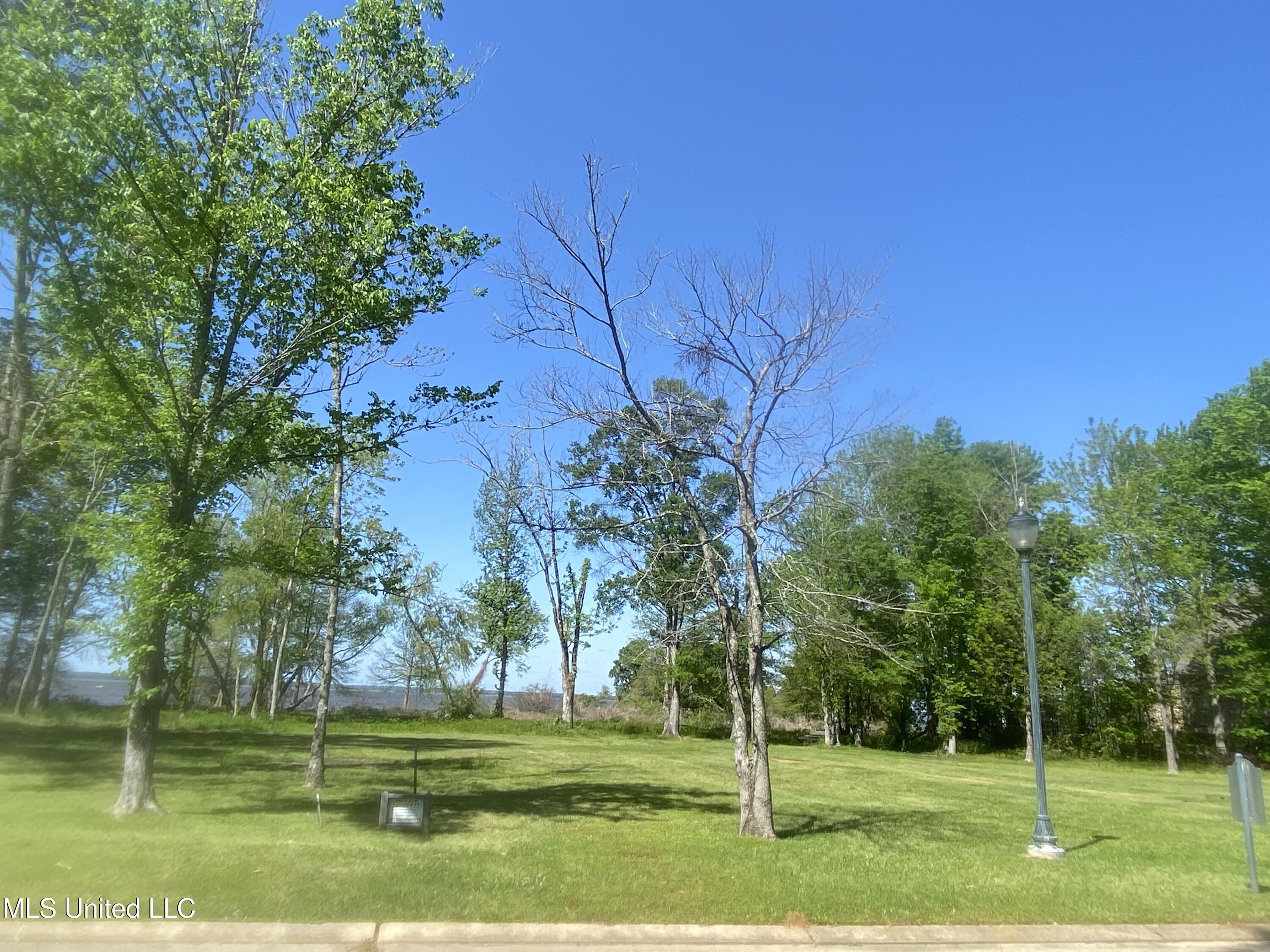 81 Grandview Circle Brandon, MS 39047 - Photo 12 of 13 IMG_7308