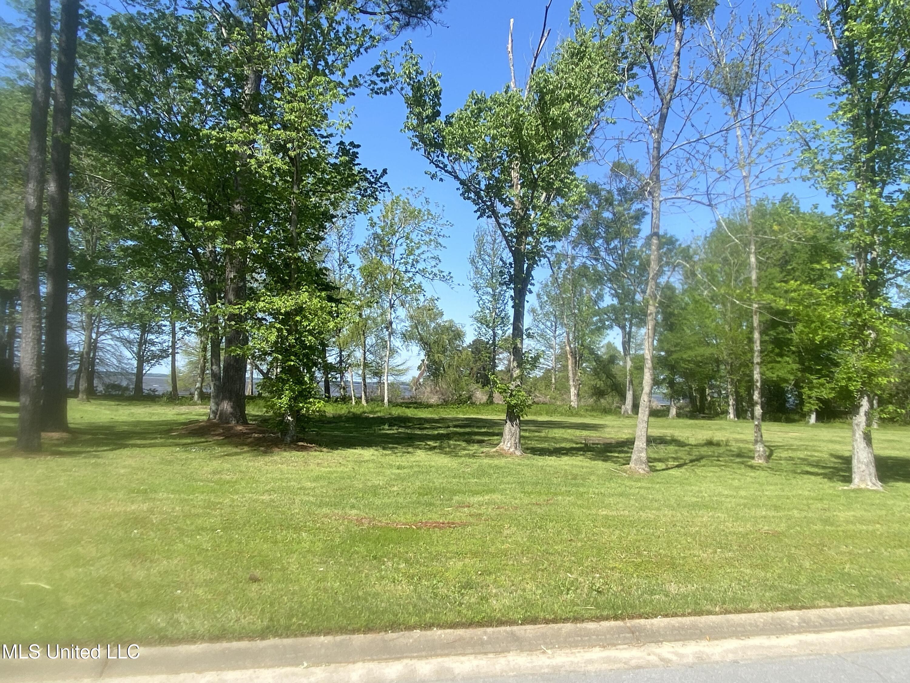 81 Grandview Circle Brandon, MS 39047 - Photo 13 of 13 IMG_7307